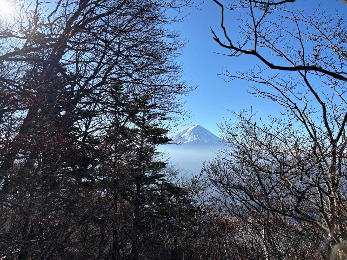 ちら見え🗻