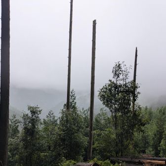 急に雨風がキツくなってきて、ベンチもあるのに、ここで休憩できず💦
急いでアウターを来て進むと、直ぐにやみました😅