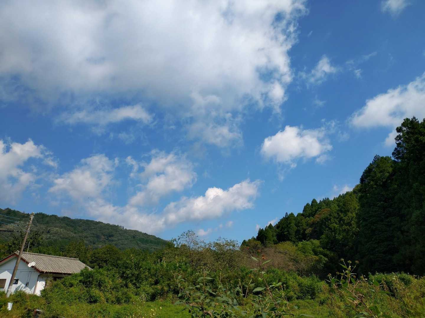 ☀ていい天気🔵〜😄

今度は熱いです。🥵
