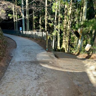 また表参道を下る