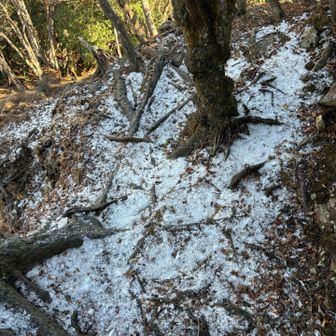 霧氷のカケラ❄️