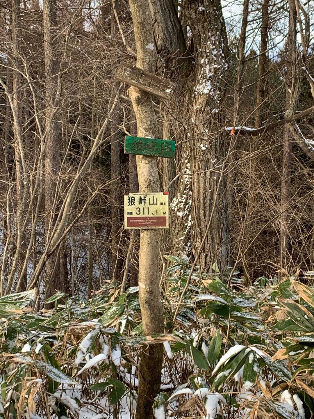 あっという間に山頂。