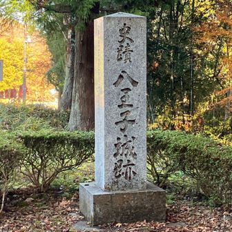 城跡見学だけでも価値がある