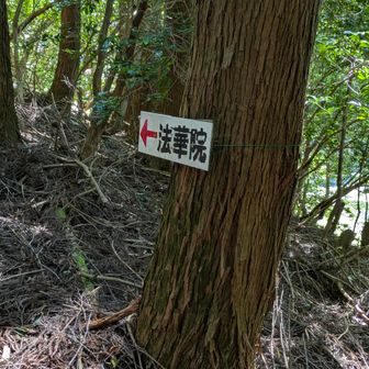 標識（実はここが鳴子山の分岐）