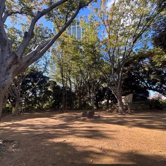 芝丸山 山頂⛰️ おしまーい。