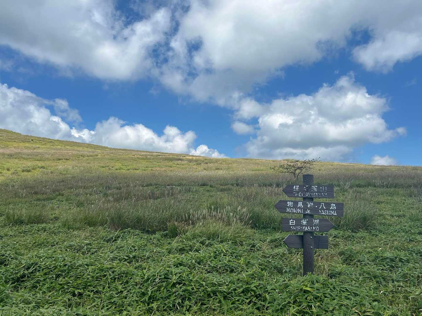 空が広く感じます♬