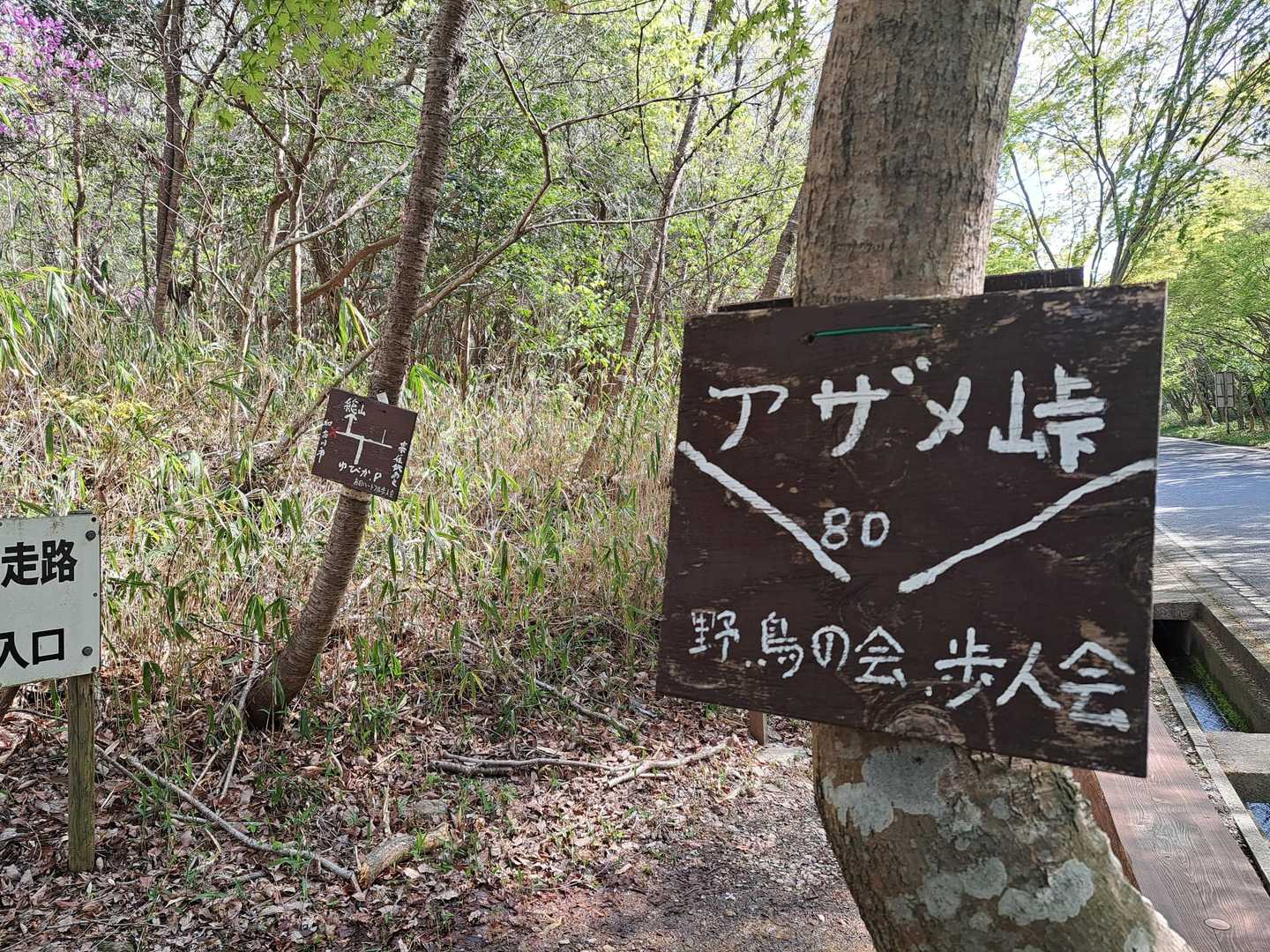 アザメ峠まで戻ってきました