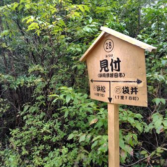 おっこのコースは順路じゃなかった
