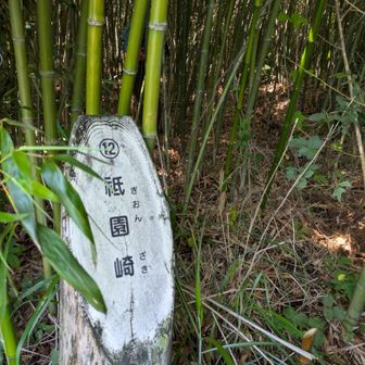 先に進むと、祇園崎の看板🧐