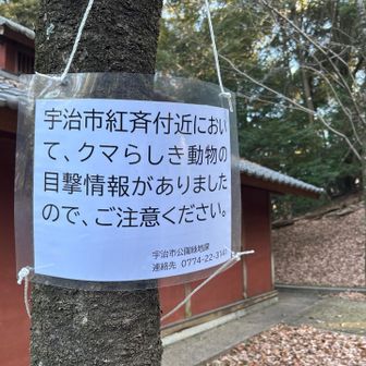 本日は紅斉山も行くのに・・・