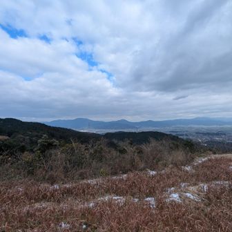 この景色が見えるベンチでランチ