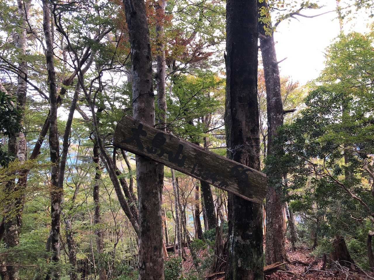 意外と遠かった…😅