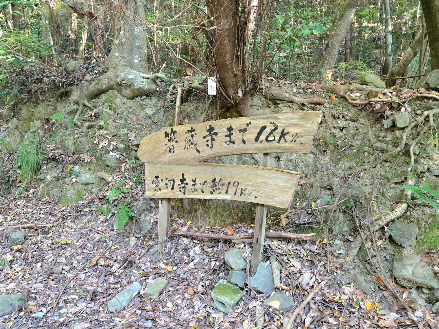 ここでチャンヒロさん登場✨️
箸蔵寺まで1.8km雲辺寺まで19kmやって！雲辺寺まで行かれますか😎って冗談言いつつ一緒に歩くことに♫