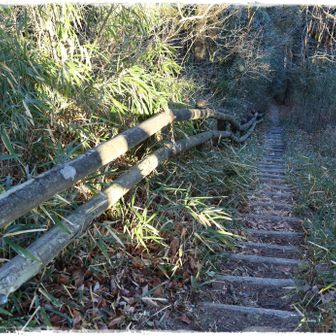 富士山から奥に進むにはこの階段を下ります。