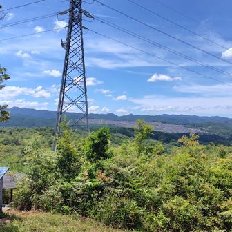 行きたい食堂のある
つつじが丘のマンモス団地