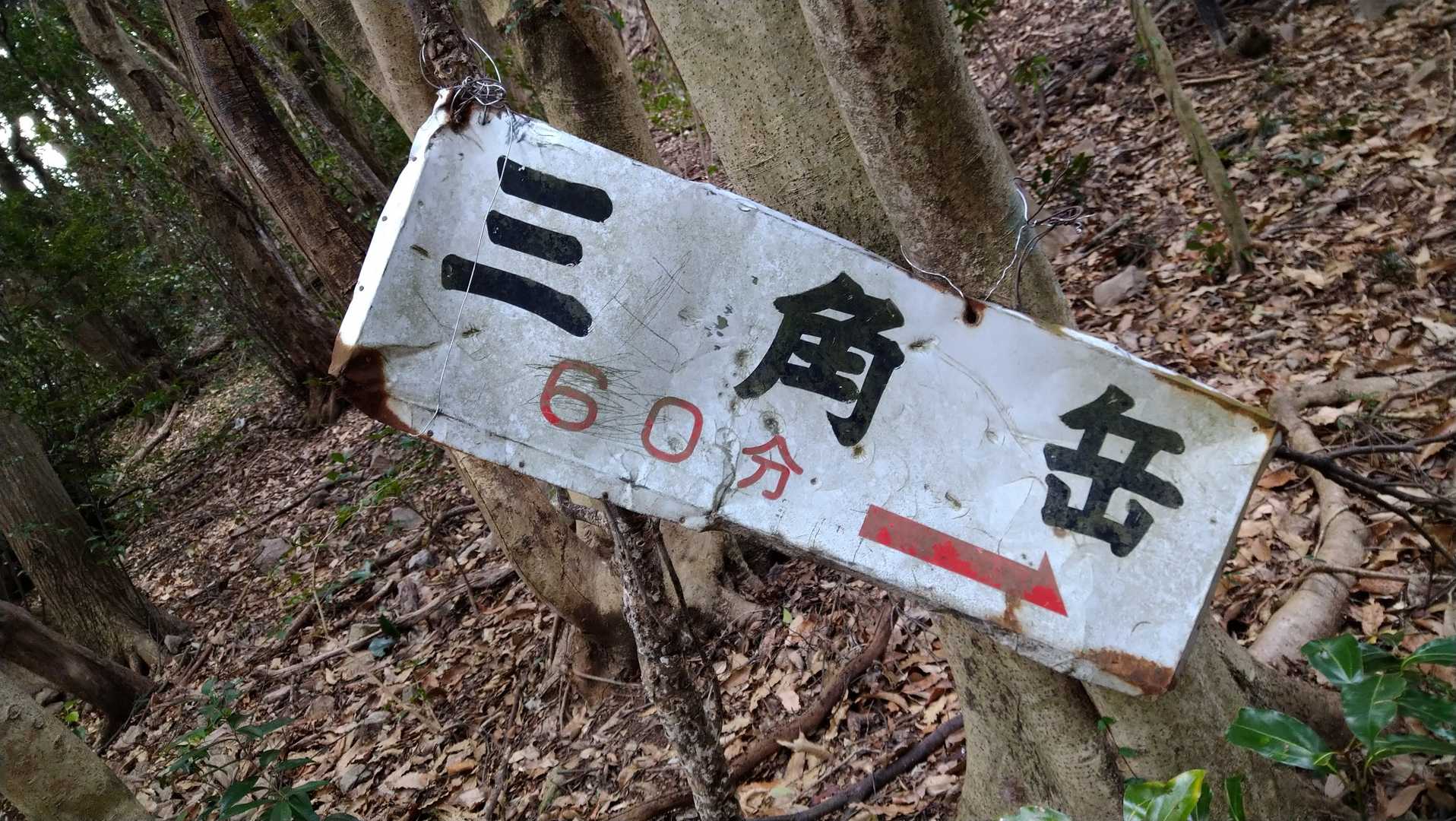 三角岳-天翔台-天翔台登山口 縦走コースの写真