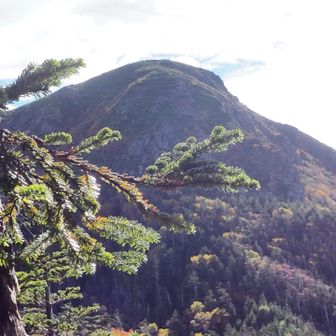 天狗岳が見えました。