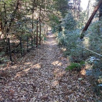 円海山への道。広くて足元を全く心配する事のない道。

電波塔の保全用車両の通る道なんでしょうね。