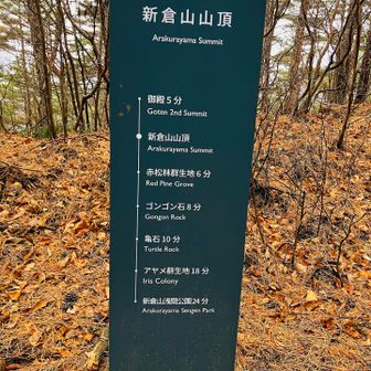 美術館の案内みたいになってる