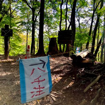 「はっせんちゅう」ってなんや？
..と思ったのは秘密