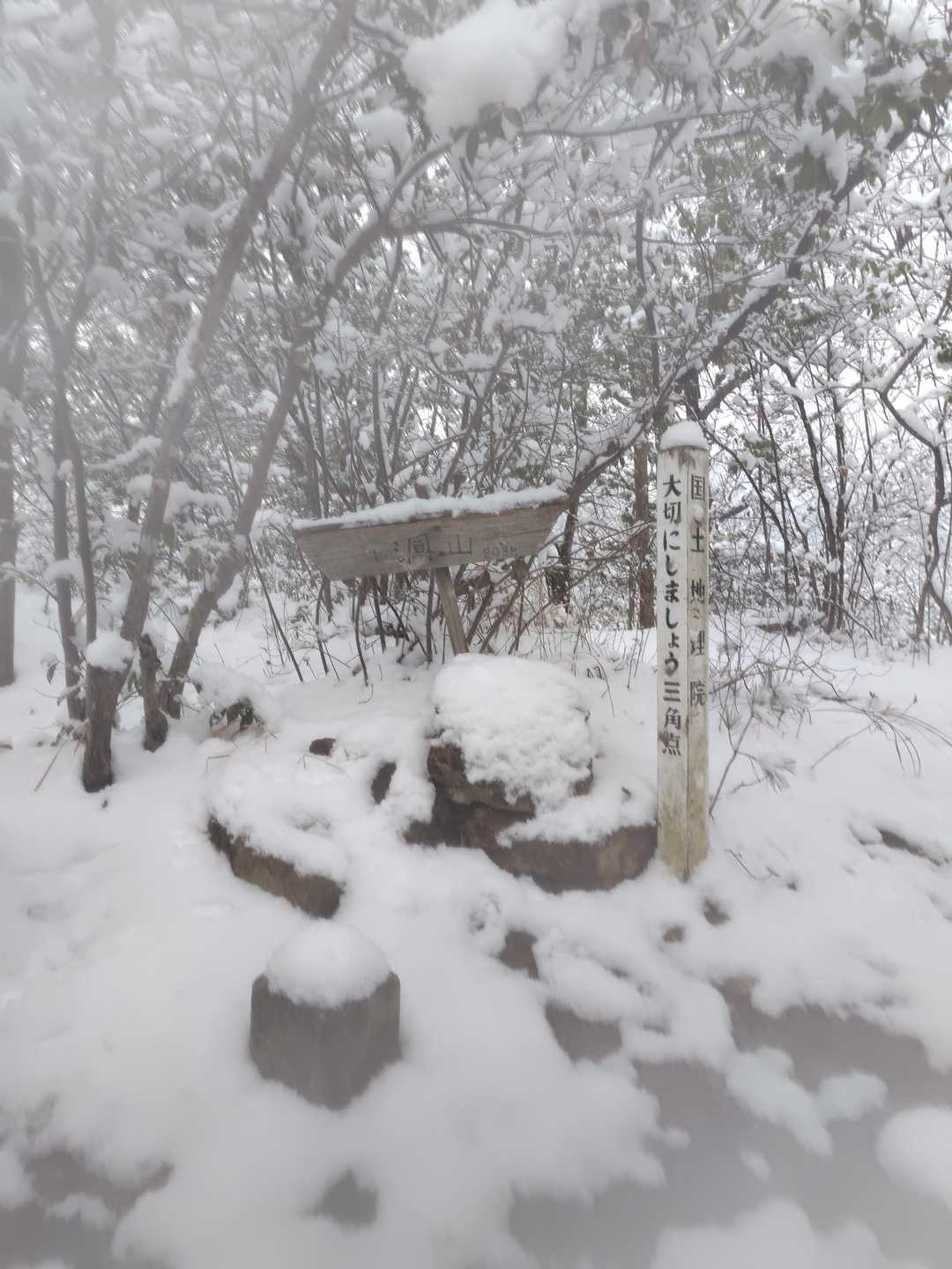 洞山 往復コースの写真