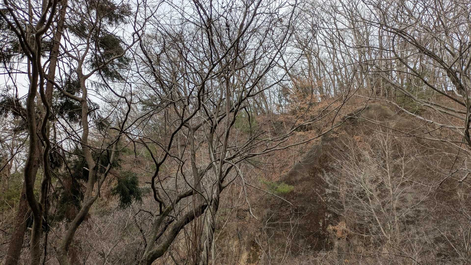 あー
あの稜線を歩いて下山するはずだった😅