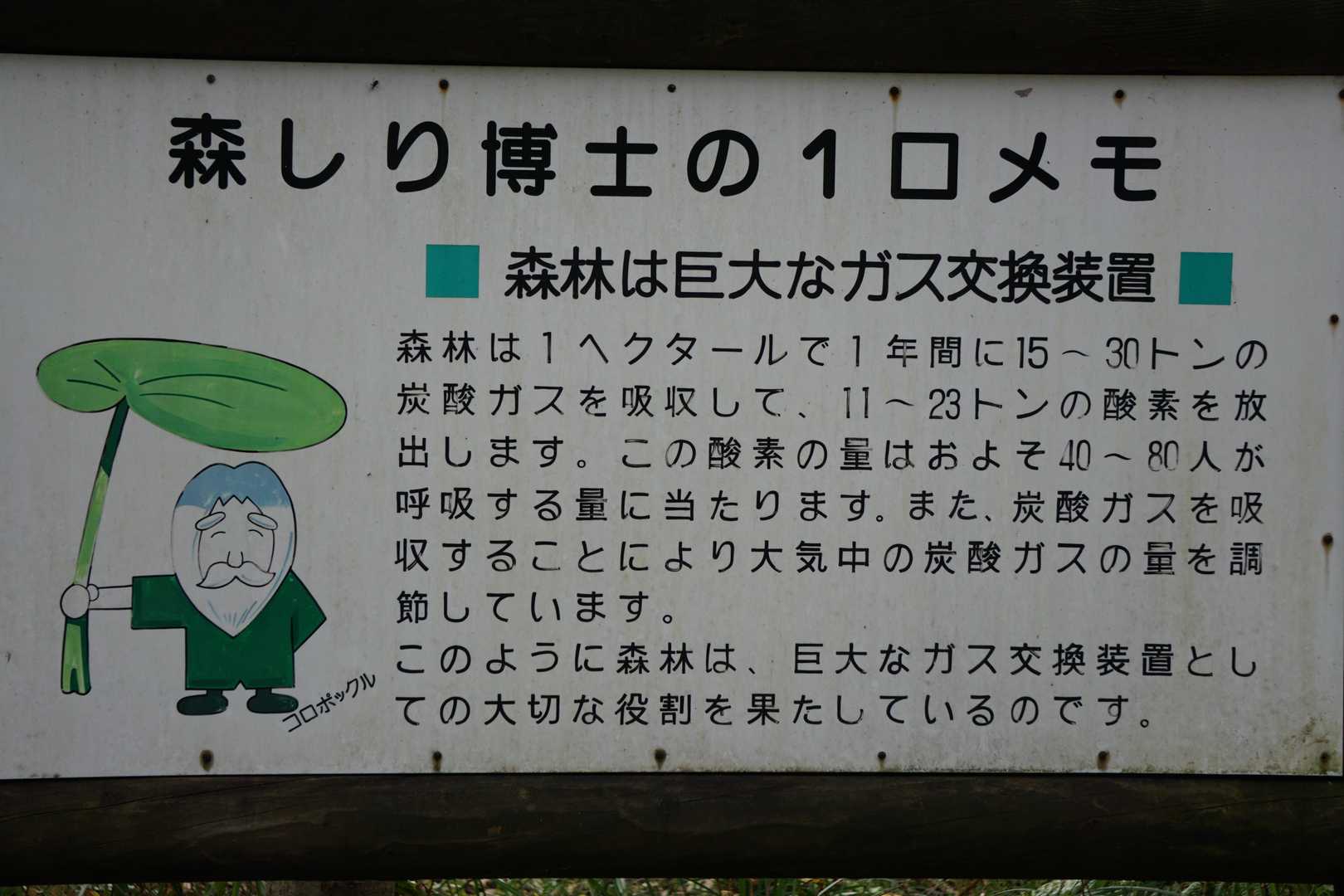 新嵐山遊歩道入口-新嵐山 周回コースの写真