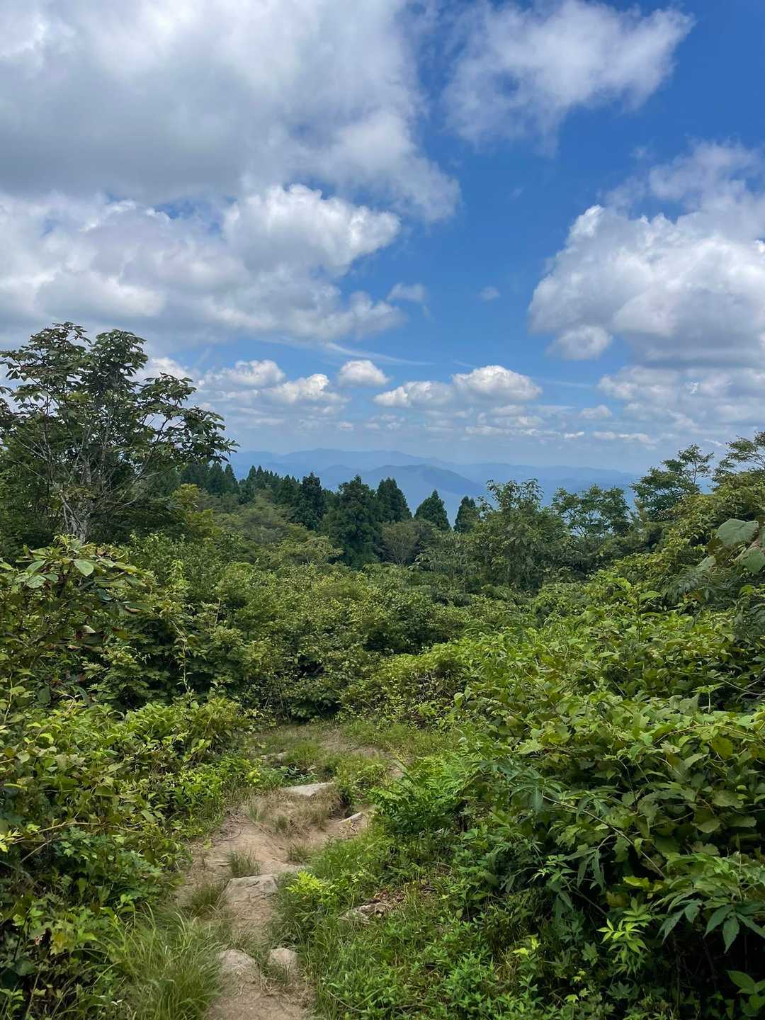 山頂でお会いした方と
お話しながら下山😊