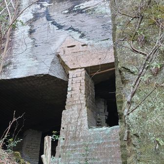 １度そう見たら、七三分けの顔にしか見えなくなった。