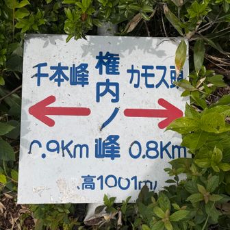 本日二座目⛰️⛰️