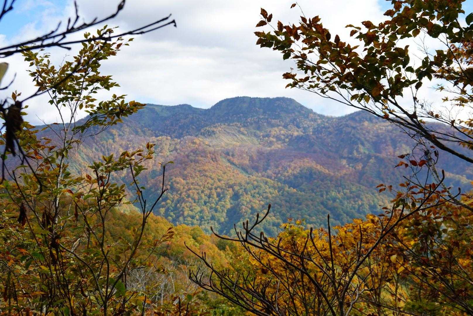 見えてる山の紅葉は終盤かな