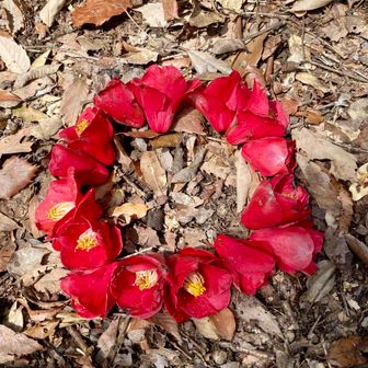 ハナマル〜💮

って、私もマネしてみたんだけど…
ちーとセンスないね😅
花の向きがイマイチじゃの