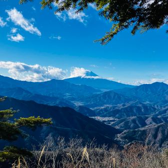 いい構図ですな