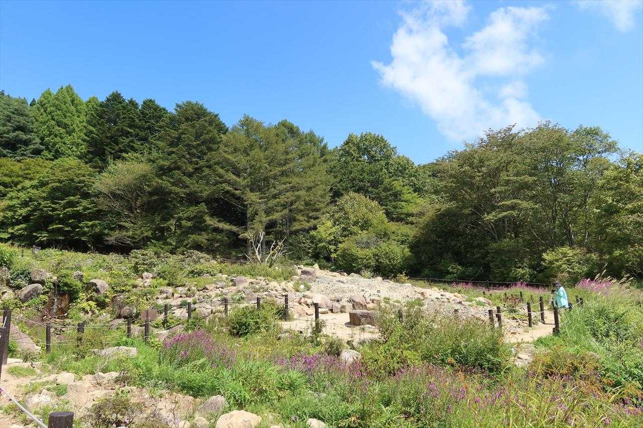 時折涼しい風が吹くが、日の当たるところはやっぱり暑い