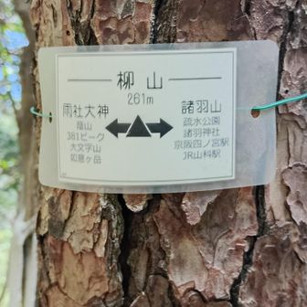 4座目