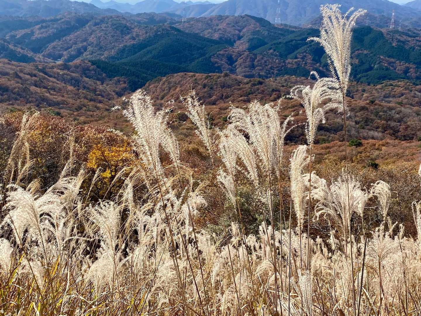 言葉を失う。