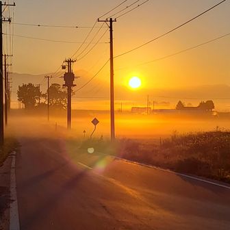 のんびりノボル