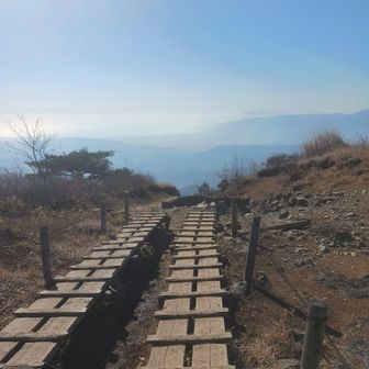 飛べそうな天空の滑走路✈️
この後登山口近くで11月に蛭ヶ岳山荘でお話させていただきましたmurami さんにまたお会い出来て少しお話させていただきました😊