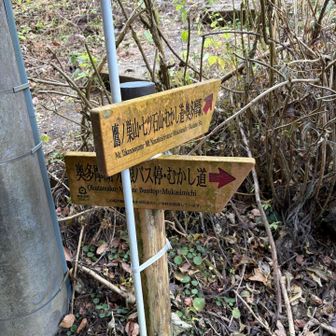 水根沢林道の終点。ここから先は車道を水根へ