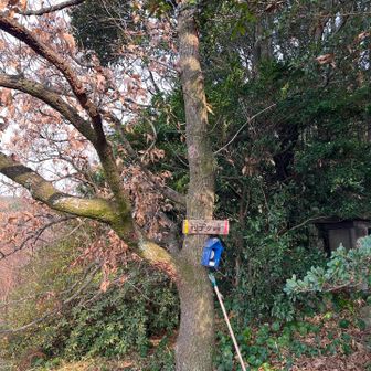 ここに標識がありました
どちらがホント？