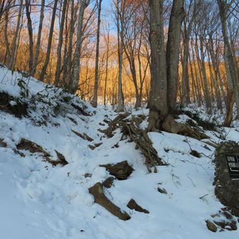 西黒尾根登山口
前後には、しばらくの間 誰もいませんでした🥹