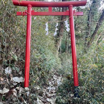 鳥居をくぐるとその先は神社で行き止まりなので、山頂へは鳥居手前を左へ