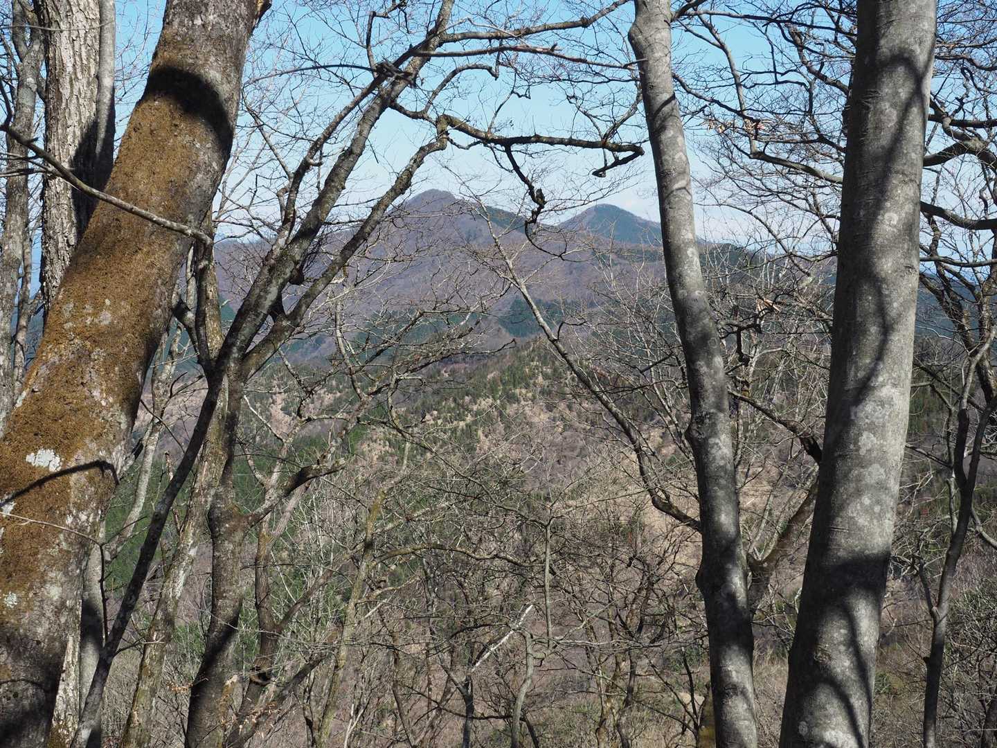 右が武甲山、左が大持山
手前の植林してる山へ今から行きます