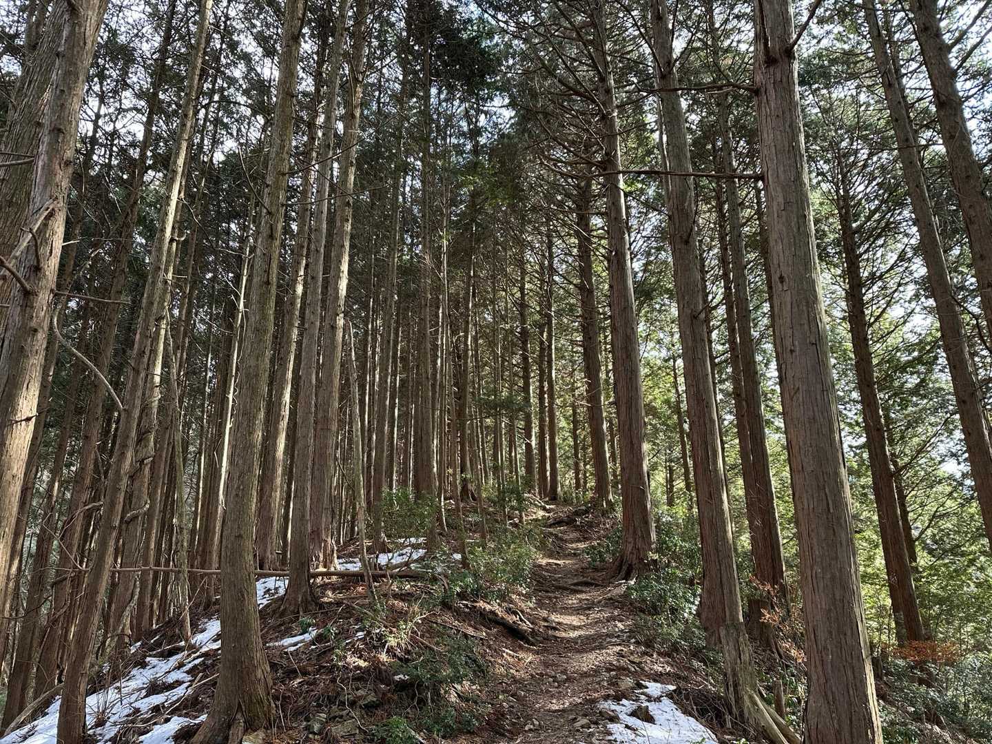 登山あるある…下山なったら晴れてくるやつ😆