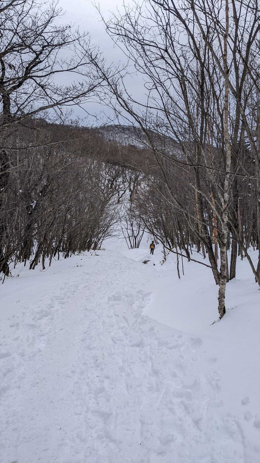 ソリ持ってくれば良かった😭