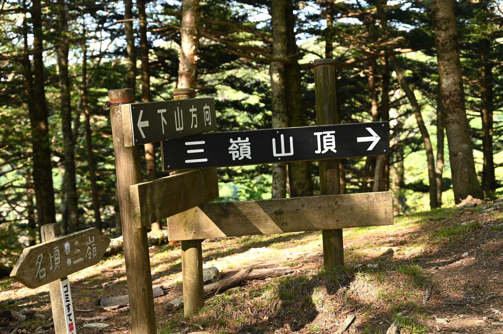 ココまで来たら　もうひと頑張りって気にさせられます