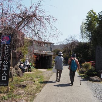 ここは入口から一方通行で３０分や６０分でコースも違います

観光客の多さと、も～正直お花はすでにお腹いっぱいになっててめげそう💦
でも、気を改めて行きますよ❗