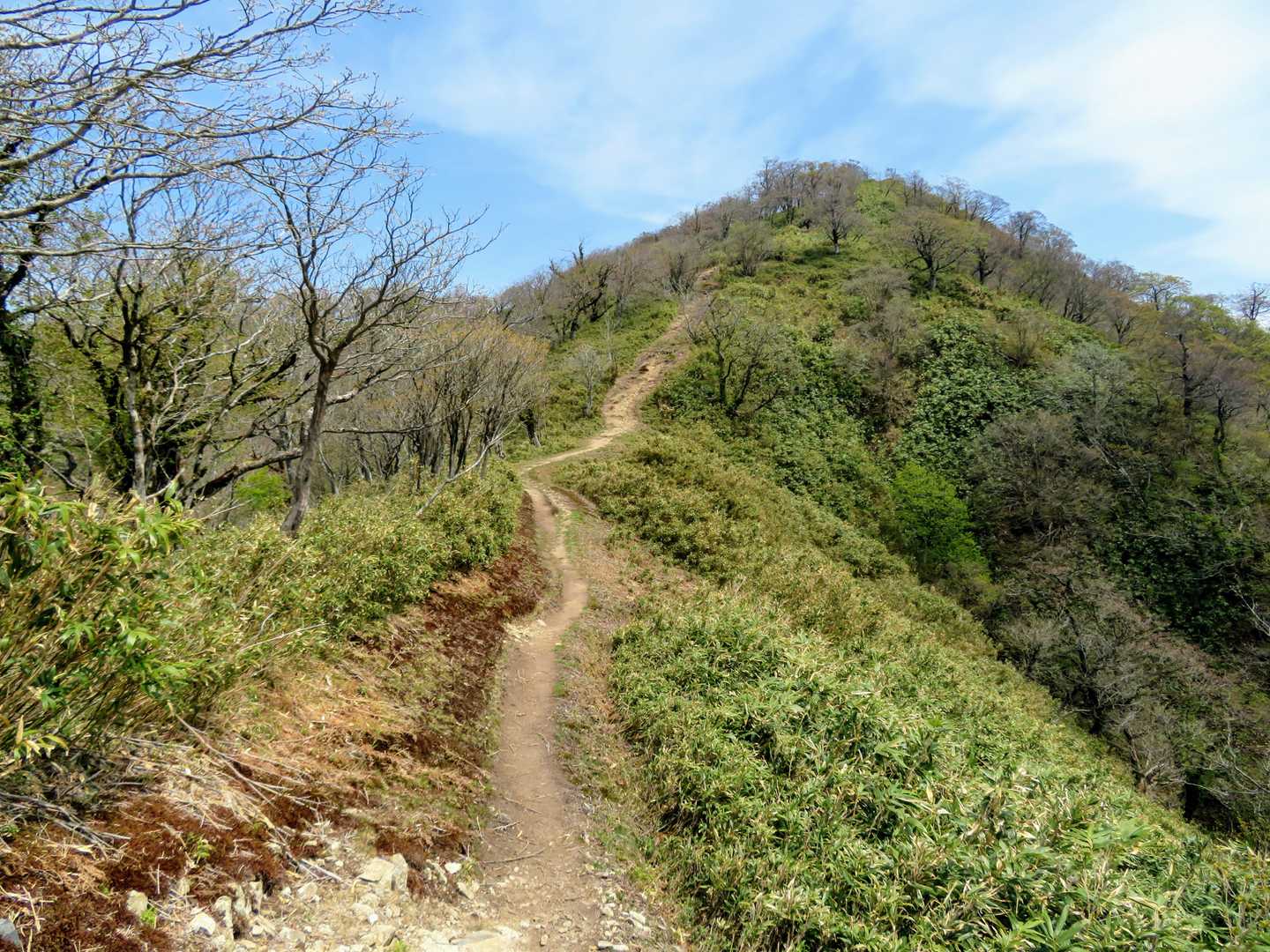 もう最高❗これを楽しみにしてました👍