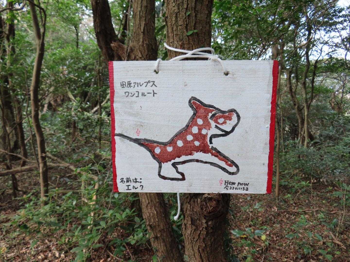 田原アルプスわんこ🐶ルートの写真