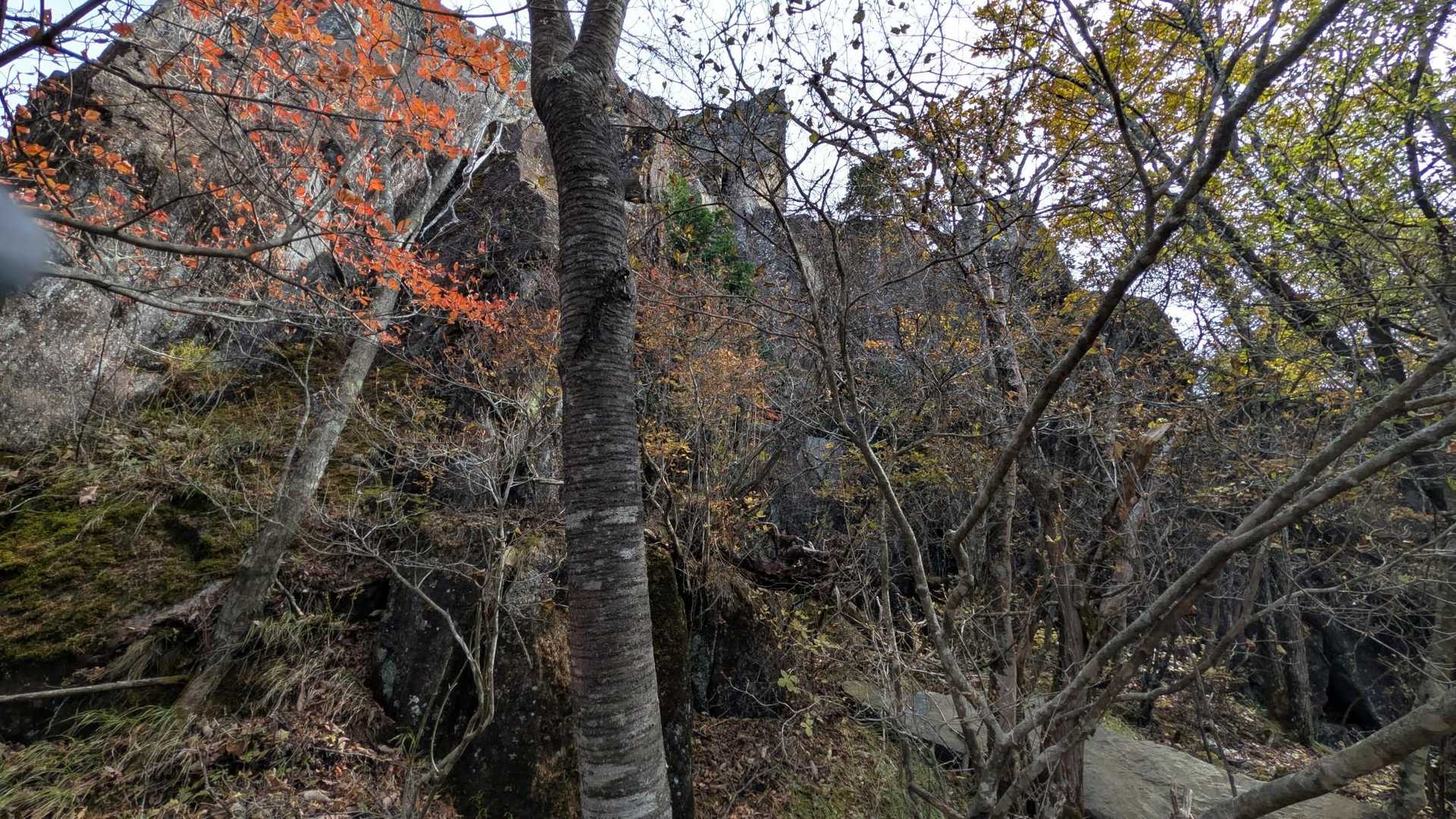 焼山峠-小楢山-小楢峠-大沢ノ頭-妙見山-妙見山-鼓川バス 縦走コースの写真